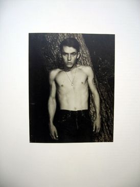 Male: From the Collection of Vince Aletti. Collier Schorr Vince Aletti, Author, Text.