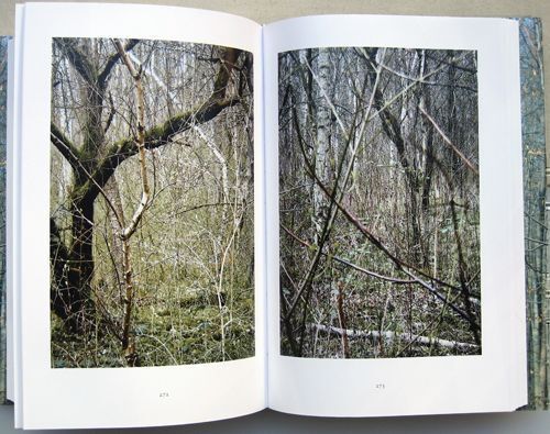 Wald | Gerhard Richter