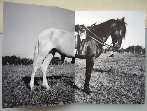 Cavalos & Bangalos. Anna Kleberg.