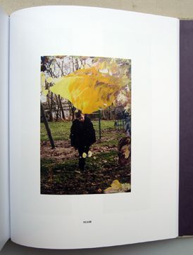 Overpainted Photographs. Gerhard Richter.