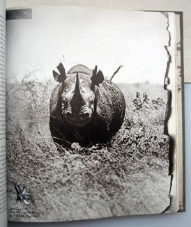 The End of the Game | Peter Beard