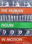 The Human Figure in Motion. Eadweard Muybridge.