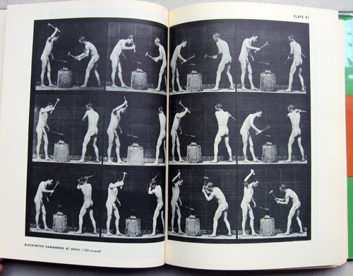 The Human Figure in Motion. Eadweard Muybridge.