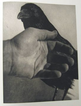 Birds. Jim Dine.