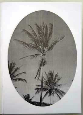 Palm Trees (# 2). Erik van der Weijde.