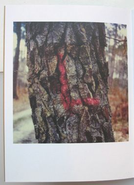 Tree Paintings. Erik Kessels.