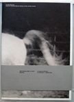 Land of a Thousand Dances Horses, horses, horses, horses. Carlotta Manaigo.