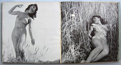 zoku/ Rafu no Utsushikata (continuing/ How to take a nude picture). Kira Sugiyama.