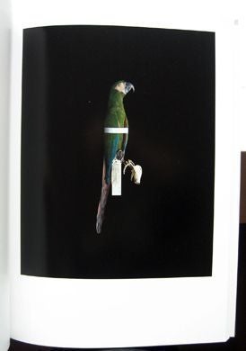 Biosophia of Birds. Yoshihiko Ueda.