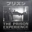 The Prison Experience. Morrie Camhi.