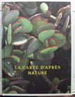 La Carte D'Apres Nature. Rene Magritte Luigi Ghirri, Thomas Demand, Tacita Dean, Christy Lange Thomas Demand, Curator, Author.